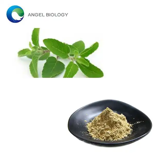How Holy Basil Extract Powder Boosts Cognitive Function and Reduces Stress？